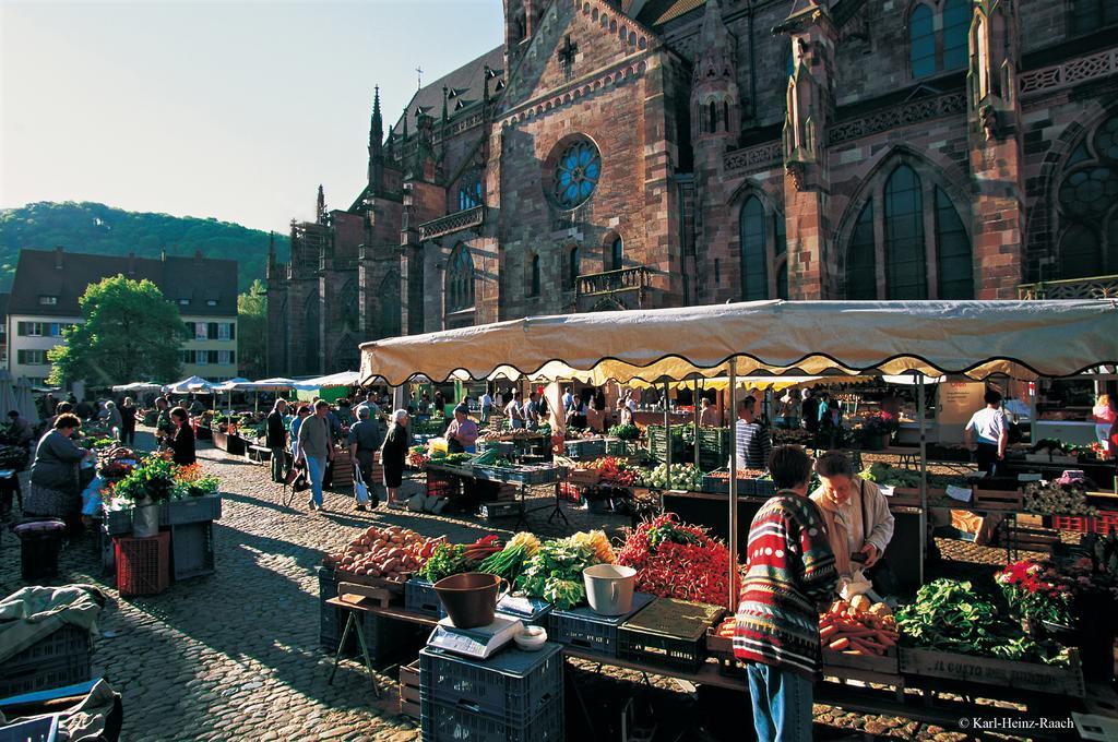 Designhotel Am Stadtgarten 4* Freiburg im Breisgau